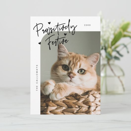 親しみやすいフェスティバル猫フォトホワイトクリスマス シーズンカード (スタンド正面)
