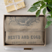 親しみやすい鳥の巣と卵 薄葉紙 (ギフト)