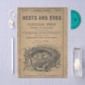 親しみやすい鳥の巣と卵 薄葉紙 (クラフト)