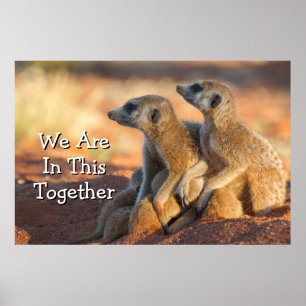 親の下のベビーのMeerkatsの皮 ポスター