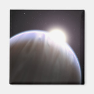 親の星を持つ太陽系外惑星 マグネット