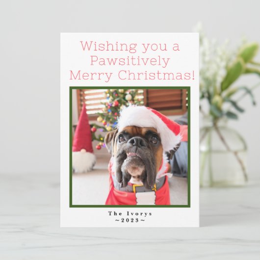 親メリー情カスタム的なペット犬の写真 シーズンカード (スタンド正面)