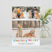 親メリー情カラフルカスタム的なペットドッグ3写真 シーズンカード (スタンド正面)