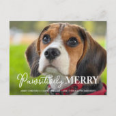 親メリー気なカスタムペットドッグ写真クリスマス シーズンポストカード (正面)