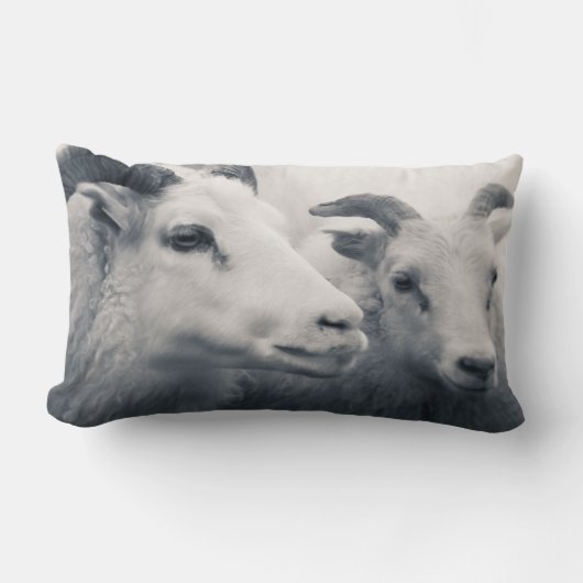 親切があって下さい ランバークッション (正面)