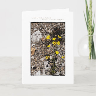 親切さのメッセージカードを見つけること カード