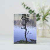 親切の問題 ポストカード (スタンド正面)