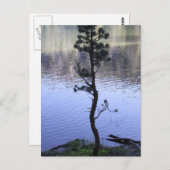 親切の問題 ポストカード (正面/裏面)