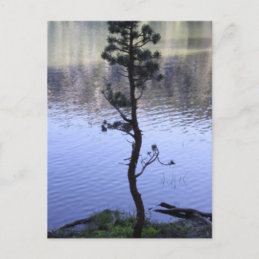 親切の問題 ポストカード (正面)