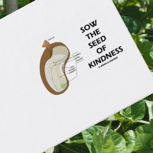 親切の種をまく 名刺