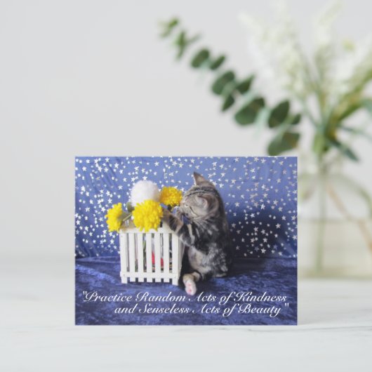 親切はがきのランダムな行為 – Lilo 3809a ポストカード (スタンド正面)