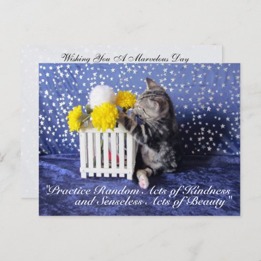 親切はがきのランダムな行為 – Lilo 3809a ポストカード (正面/裏面)