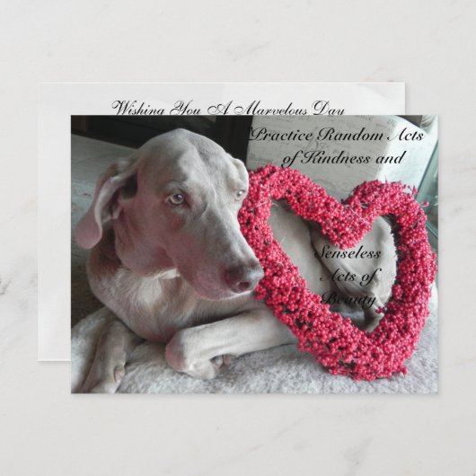 親切はがきのランダムな行為 – Rain ポストカード (正面/裏面)