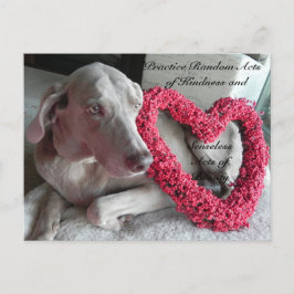 親切はがきのランダムな行為 – Rain ポストカード