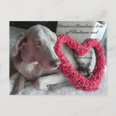 親切はがきのランダムな行為 – Rain ポストカード (正面)