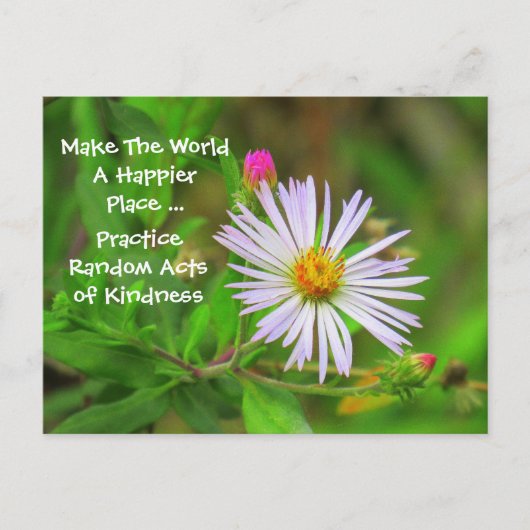 親切はがき（山花） ポストカード (正面)