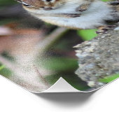 親切行為感動的引用文 フォトプリント            (角)