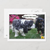 親友の毛皮 ポストカード (正面/裏面)