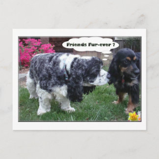 親友の毛皮 ポストカード