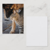 親友猫及びジャーマン・シェパードの名刺 名刺 (正面/裏面)