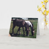 親友 カード (黄色い花)