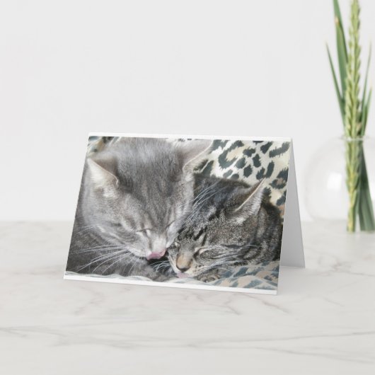 親友 カード (正面)