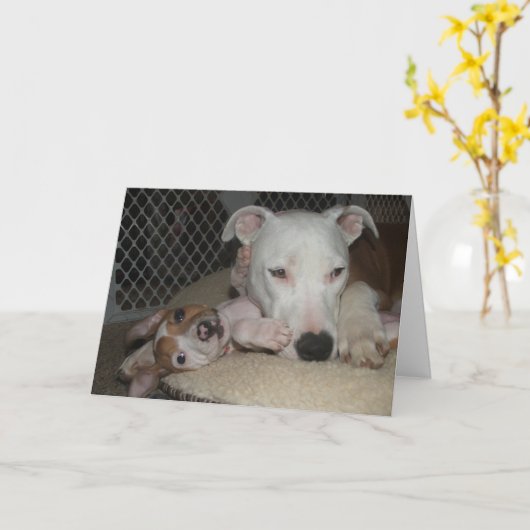 親友… カード (黄色い花)