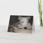 親友… カード (正面)