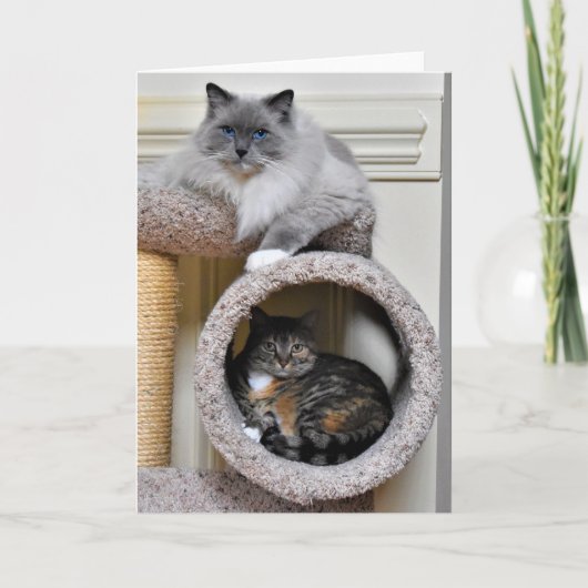 親友、カード カード (正面)