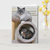 親友、カード カード (黄色い花)