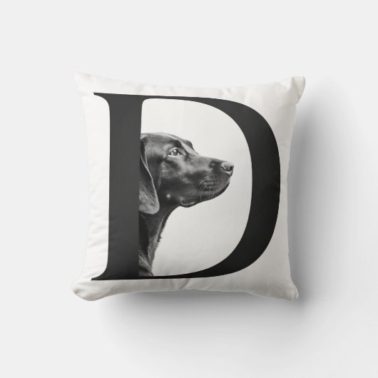 親友 クッション (正面)