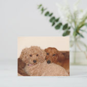 親友 ポストカード (スタンド正面)