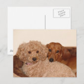 親友 ポストカード (正面/裏面)