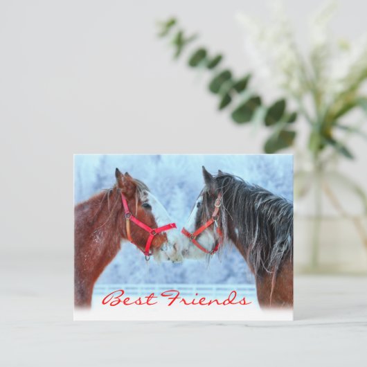 親友 ポストカード (スタンド正面)