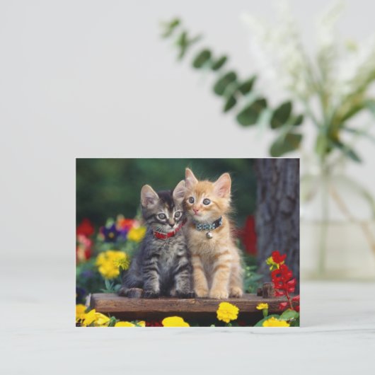 親友 ポストカード (スタンド正面)