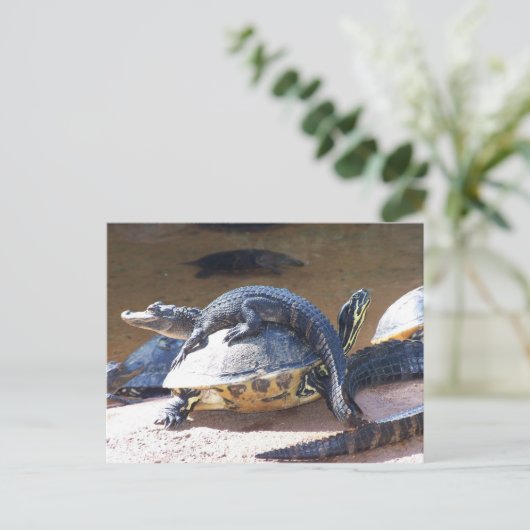 親友 ポストカード (スタンド正面)