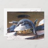 親友 ポストカード (正面/裏面)