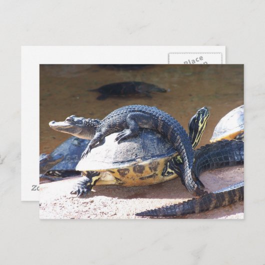 親友 ポストカード (正面/裏面)