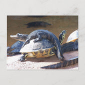 親友 ポストカード (正面)