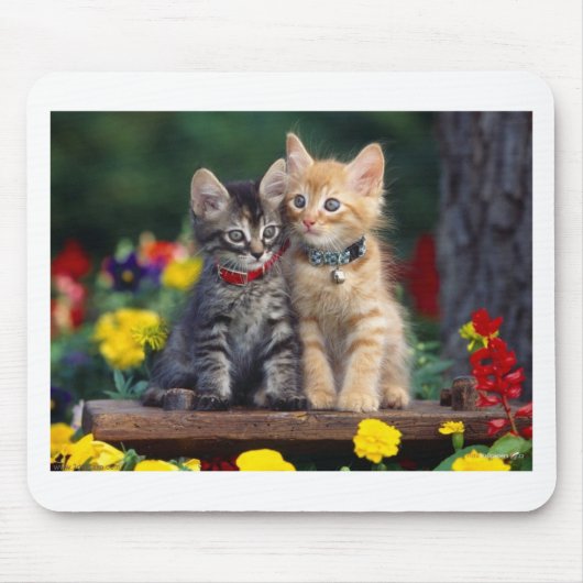 親友 マウスパッド (正面)