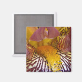 親密な虹彩 マグネット (正面/裏面)