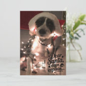 親愛なるサンタさん、私には事情があるんです（犬） カード (スタンド正面)