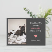 親愛なるサンタはいけなくおもしろいなペット写真を定義します シーズンカード (スタンド正面)