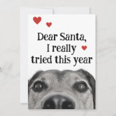 親愛なるサンタへ 今年は本当に頑張ったよ シーズンカード (正面)