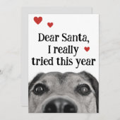 親愛なるサンタへ 今年は本当に頑張りました シーズンカード (正面/裏面)