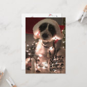 親愛なるサンタへ、私には説明できる（犬） カード (正面/裏面インサイチュ)