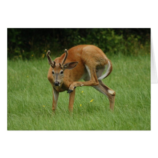 親愛な疥癬 (正面横)