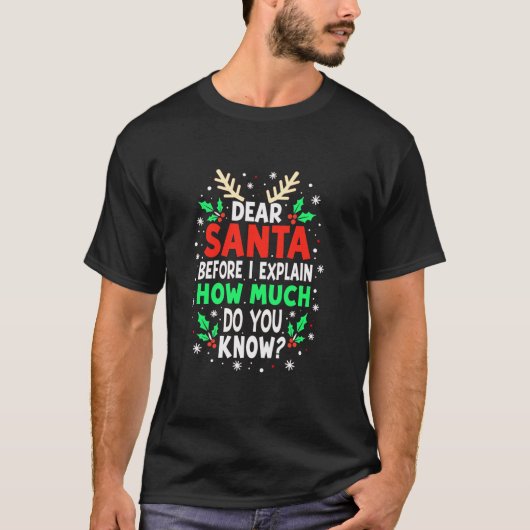 親愛サンタさんお前の知り合い Tシャツ (正面)