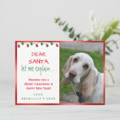 親愛サンタドッグポープリントドッグホリデーカード シーズンカード (スタンド正面)