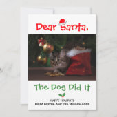 親愛サンタ、犬がペットの写真をおもしろい撮った シーズンカード (正面)